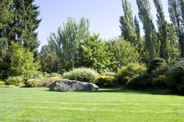 Yard Enlargement in Mill Valley