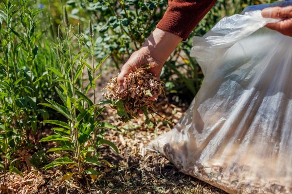 Wood Mulch Installation in Mill Valley
