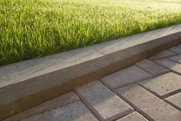 Lawn Edging Replacement in Mill Valley