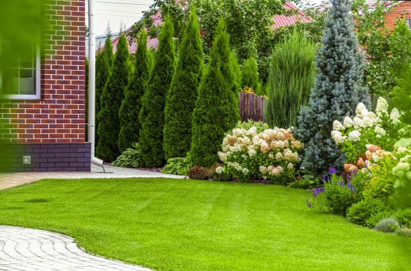 Spring Landscaping in Mill Valley