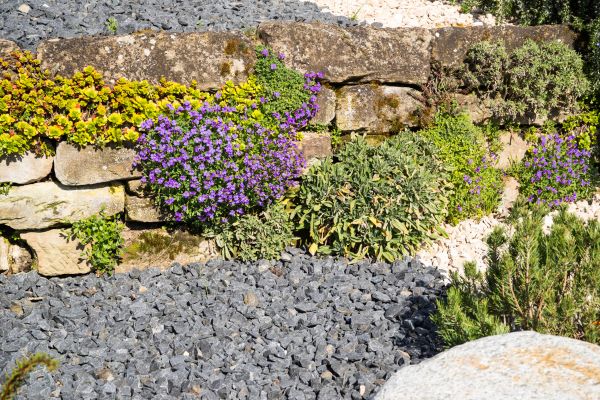 Landscaping Rocks Installation in Mill Valley