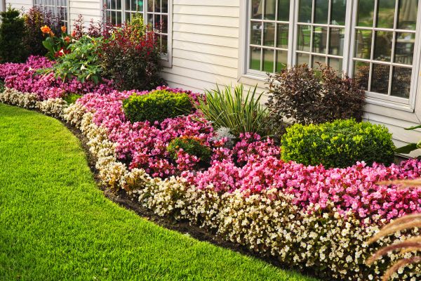 Garden Landscape Design in Mill Valley
