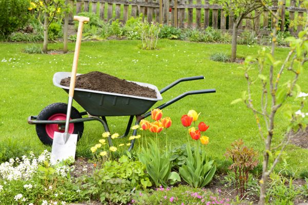 Spring Yard Renovation in Mill Valley