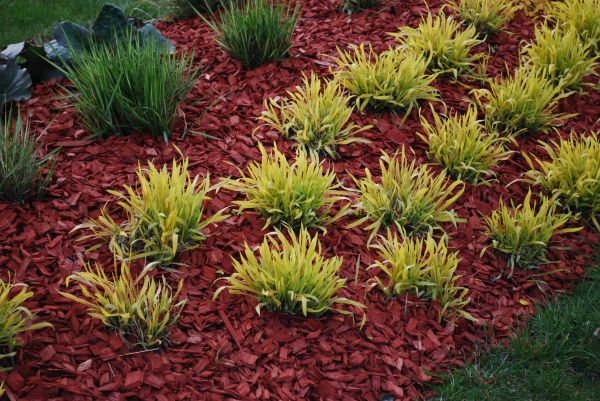 Red Mulch Installation in Mill Valley