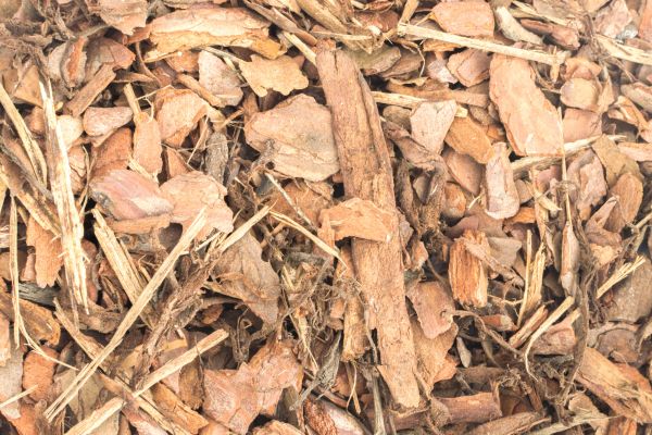 Bark Mulch Installation in Mill Valley