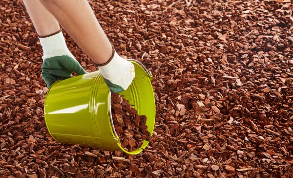 Wood Chip Landscaping in Mill Valley