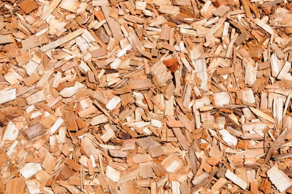 Cypress Mulch Spreading in Mill Valley