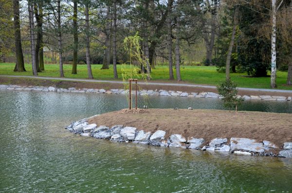 Pond Landscaping Service in Mill Valley