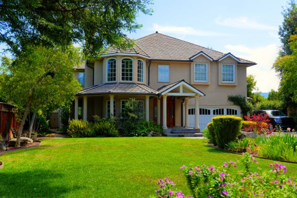 Large Yard Landscaping in Mill Valley
