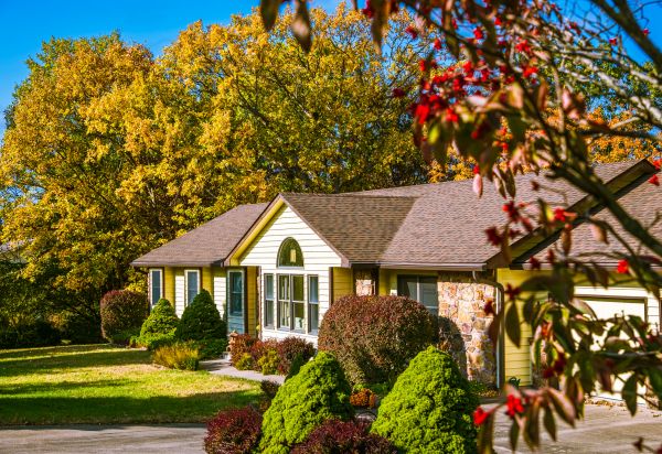 Ranch Landscaping in Mill Valley