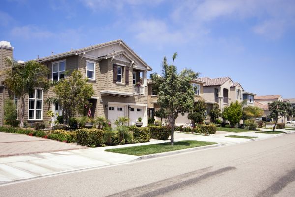 Neighborhood Landscaping in Mill Valley