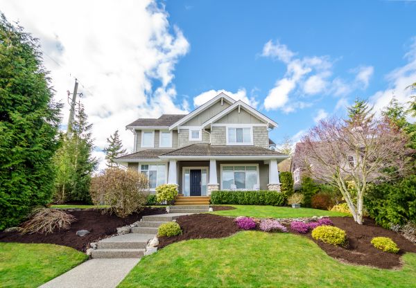 Landscaping Replacement in Mill Valley