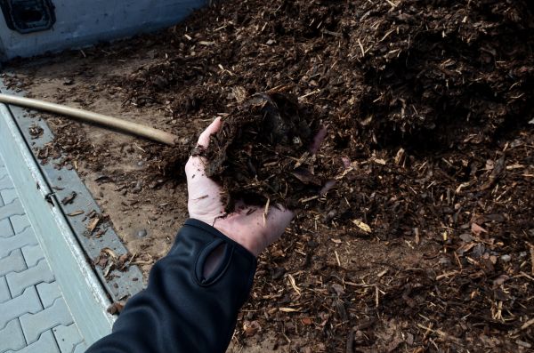 Condo Mulching in Mill Valley