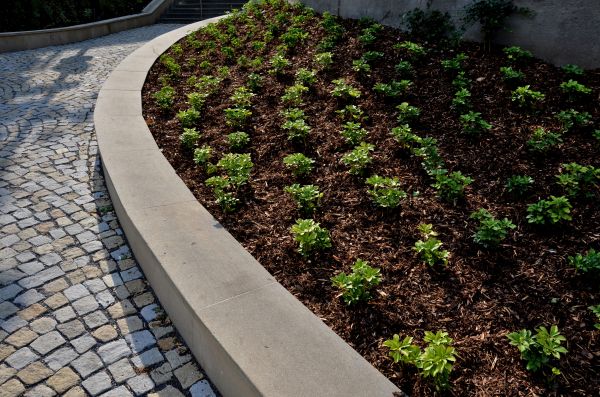 Commercial Mulching in Mill Valley