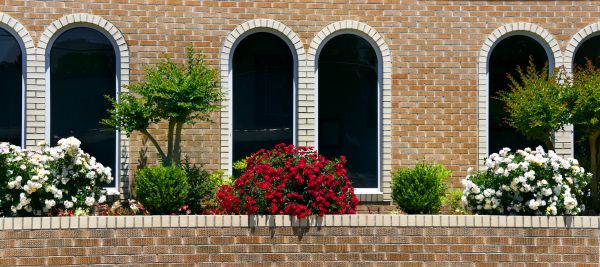 Church Landscaping in Mill Valley