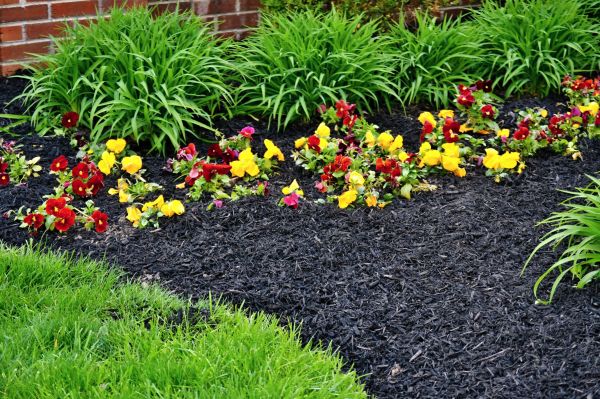 Apartment Mulching in Mill Valley