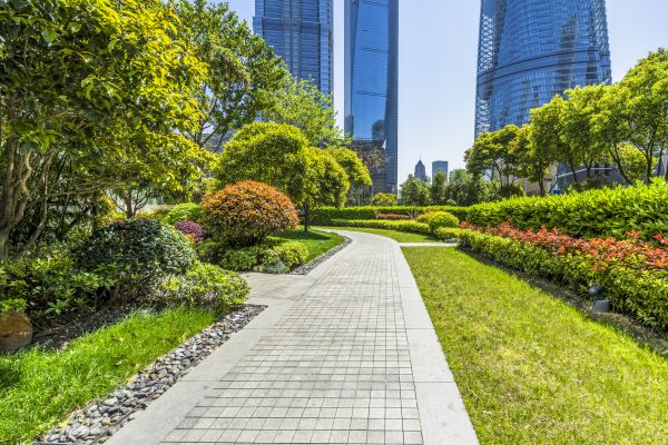 Commercial Landscaping in Mill Valley