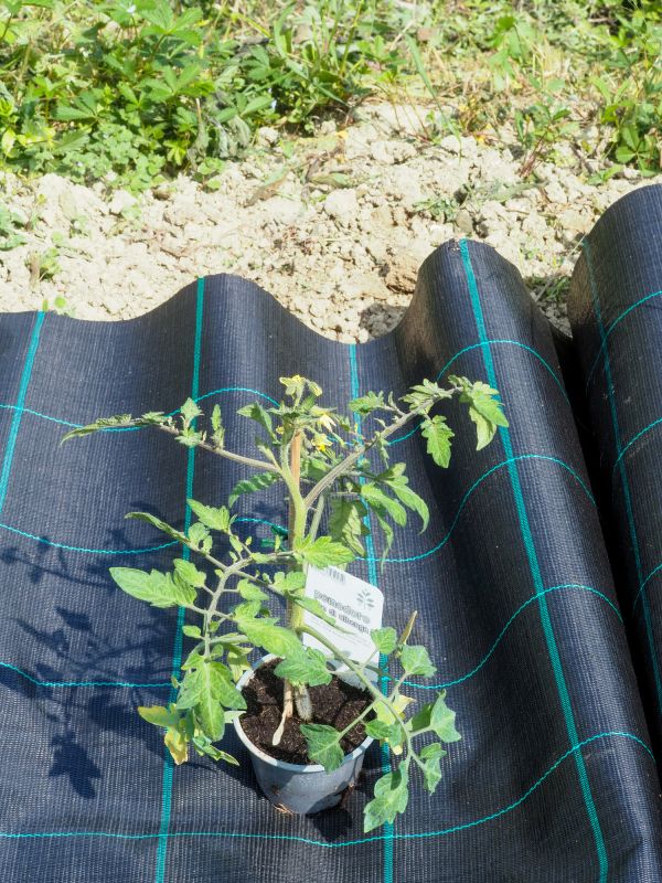 Weed Suppressant Installation